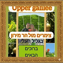 ברוכים הבאים